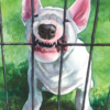 White bull terrier puppy biting metal bars cage, painting