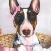 Tricolor bull terrier with a pink bow, painting