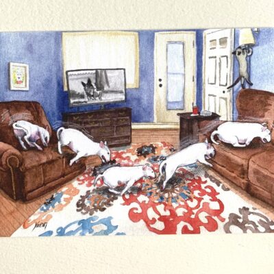 White bull terrier running from chair to couch, painting