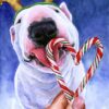 White bull terrier licking sugar cane, painting