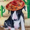 Black bull terrier puppy wearing sombrero, closeup painting